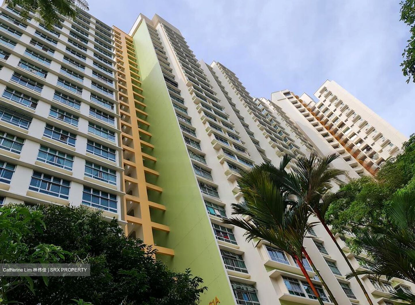 Blk 61C Strathmore Green (Queenstown), HDB 4 Rooms #449662451